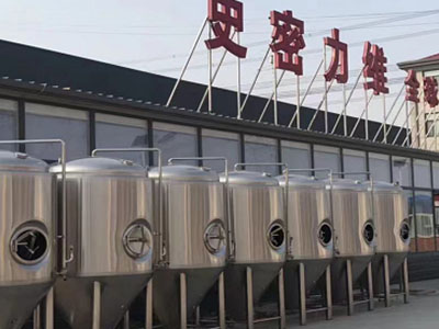 寿阳精酿啤酒设备厂—市场规模与跨界新需求